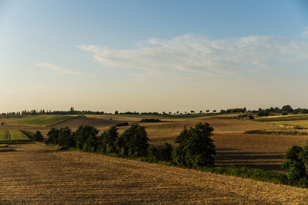 field and meadows in august  harvest time 