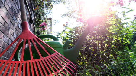 watering can and rake in gardenの写真素材