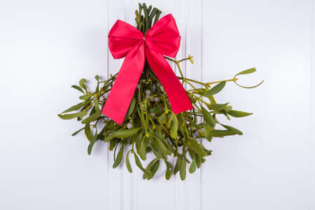 hanging mistletoe with red loopの写真素材