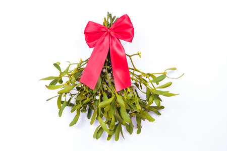 mistletoe isolated with red loopの写真素材