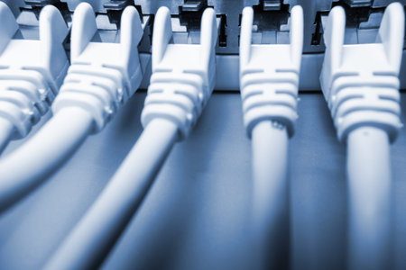 network cable on hub  internet 