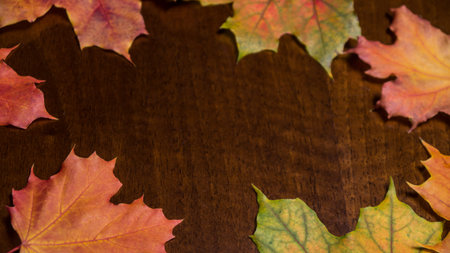 autumn leaves on a desk