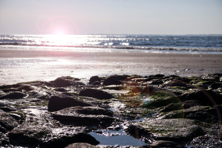 lensflare at stony beach