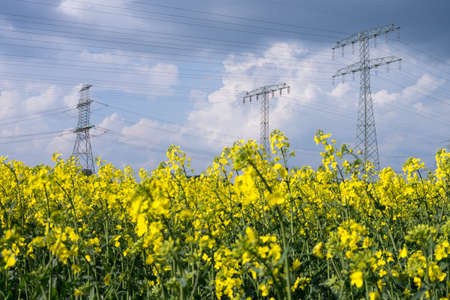 electrical tower and rapeseed and stormy cloudsの写真素材