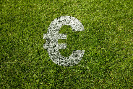 euro symbol paintend in white on meadowの写真素材