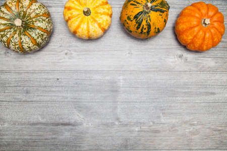 pumpkins on grey  table for halloween (copy space)の写真素材
