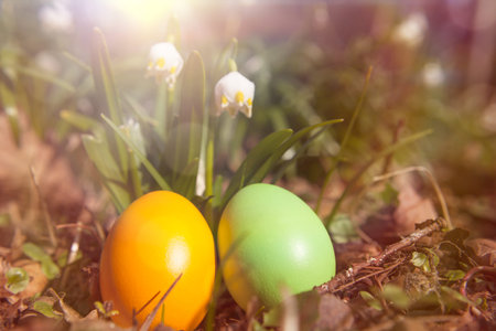 easter eggs and sunlight