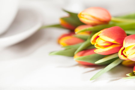 red orange tulips on breakfast table