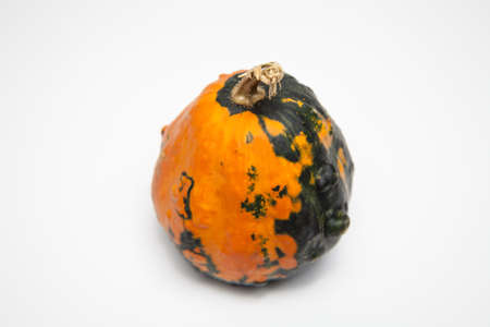 orange green calabash on white backgroundの写真素材