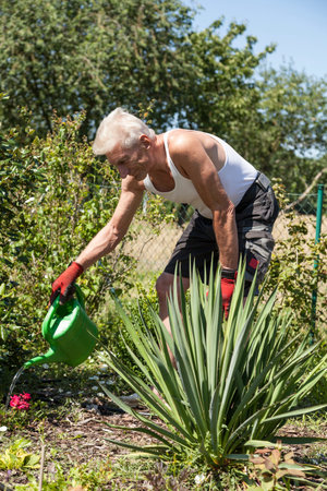Pensioners pours flowersの写真素材