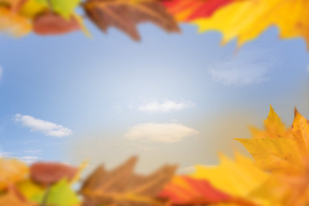 Autumn background copy spaceの写真素材