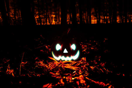 Halloween pumpkin in dark forestの写真素材