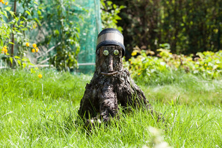 Stump with a snag in garden