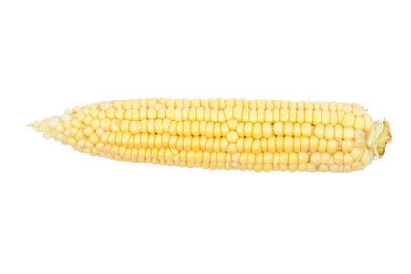 Corncob isolated