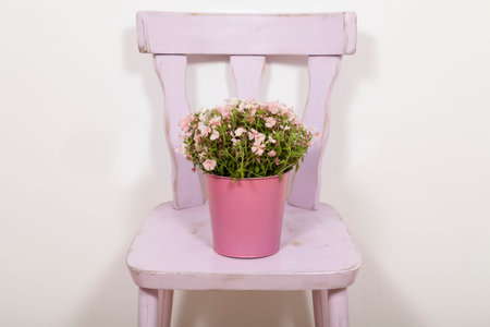 Flowers on chairの写真素材