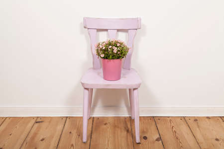 Pink flowers on chairの写真素材