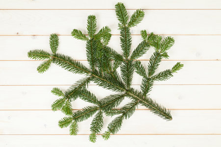 Fir branch on wood tableの写真素材