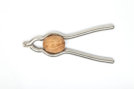 Nutcracker with walnut isolatedの写真素材