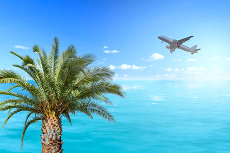 Palm, sea and airplaneの写真素材