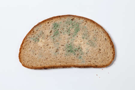 Moldy brown breadの写真素材