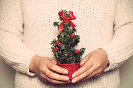 Woman holding a small christmas tree in handの写真素材
