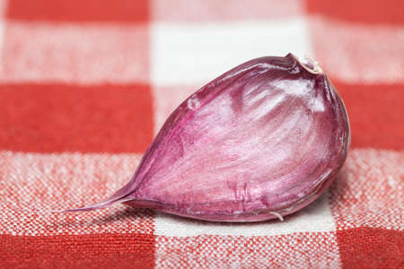 Garlic bulbの写真素材