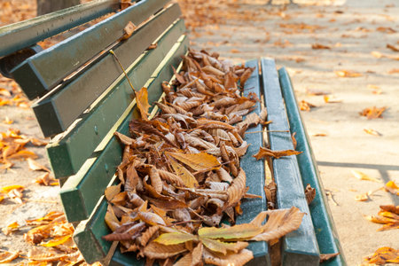 Bench in Tiergarten in Berlin