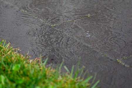 rain drops on the water