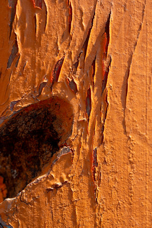grunge wood pattern texture