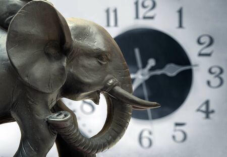 Elephant statue  front of clockの写真素材