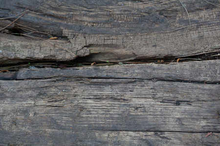 Front view abstract wood pattern texture background