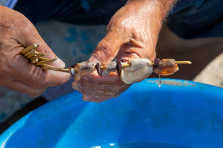close up hand holding mussel, selective focusの写真素材