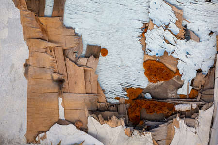 grunge wood pattern texture backgroundの写真素材