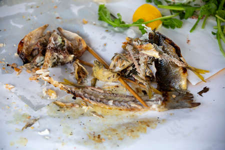 top viewe eaten fish and skeleton backgroundの写真素材