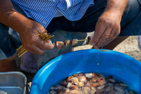 close up hand holding mussel, selective focusの写真素材