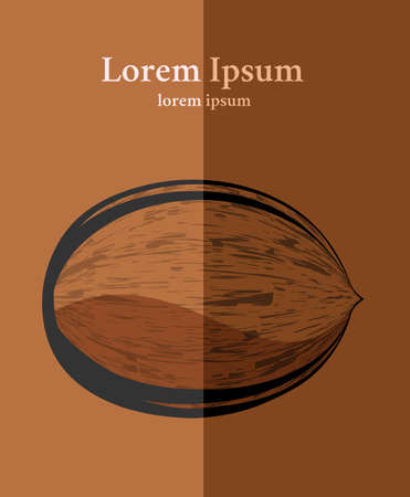 Coconut on paper. Vintage postcard. Flat style in graphic designのイラスト素材