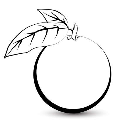 Outline sketch of a monochrome orange. Black and white elegant contour of the fruit. Drawing for coloring and design packaging for juices, diet food.のイラスト素材