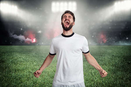 Soccer player celebrates his goal at a full soccer stadiumの写真素材