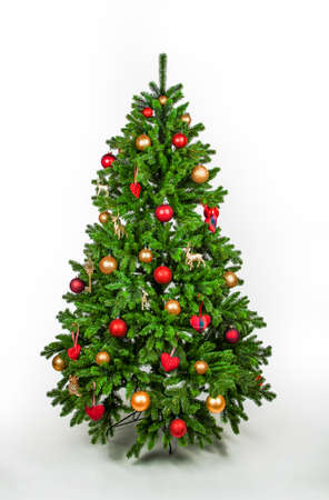 Christmas tree with red and golden decorationの写真素材