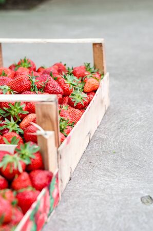 Home grown strawberries in a wooden basket (crate). Vertical composition with copyspaceの写真素材