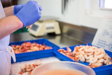 Male hands cleaning the lobster meatの写真素材