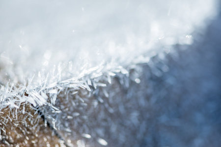 Tree trunk covered with ice crystals, close up, selective focus with shallow depth of field.