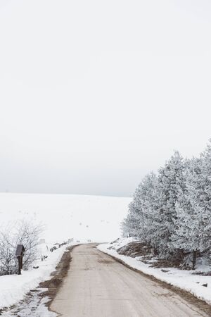 Winterscape roadの写真素材