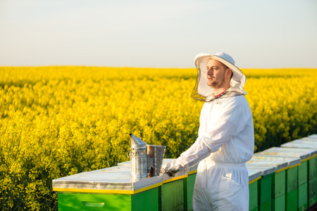 Proud successful apiarist, on the rapeseed field, near his hives, looking into the Sun. Selective focus, Copy spaceの写真素材