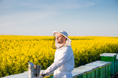 Proud apiarist, on the rapeseed field, near his hives, looking into the Sun. Selective focus, Copy spaceの写真素材