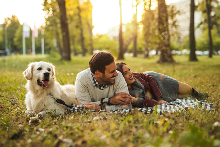 Happy couple spending time with dog in the park.の写真素材