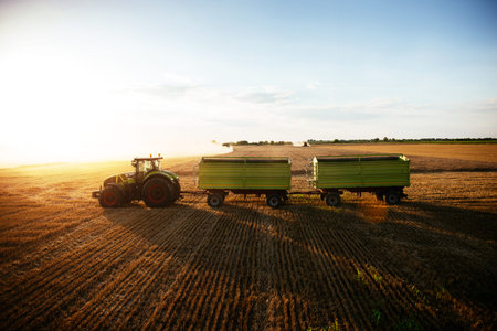 Tractor on the country side carrying the wheat.