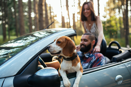 Shot of a young couple with a dog having ride in a convertible.の写真素材