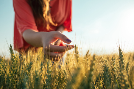 Portrait of a young woman holding a ladybug in the fields.の写真素材
