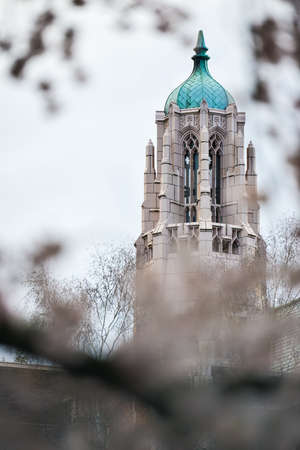 Photographing University of Washington Cherry Blossom on a Spring Morning.の写真素材